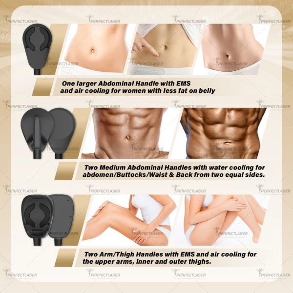 ems slimming machine results