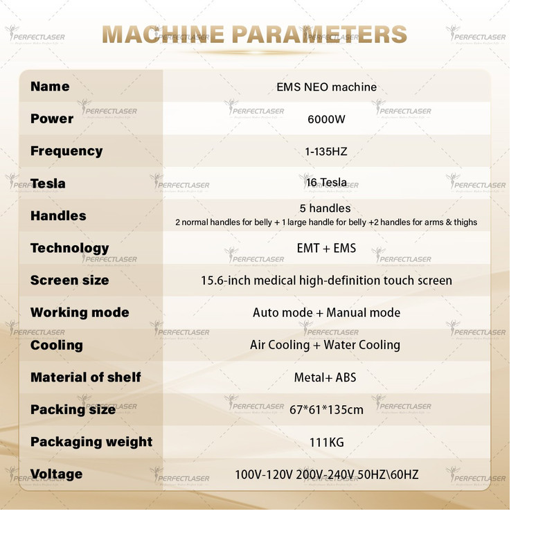 EMS Body Slimming Machine